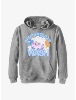 Television Pui Pui Molcar Wash Youth Hoodie